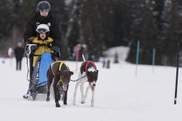 Lenzerheide 2013